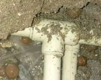 东源测漏水多少钱