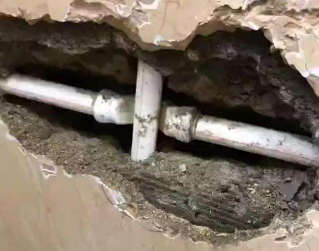 东源测漏水哪家好