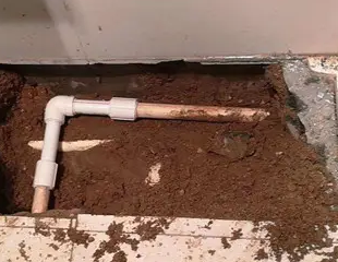 东源测漏水哪家好