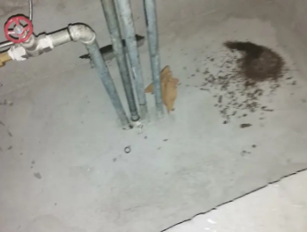 东源卫生间测漏水价格明细