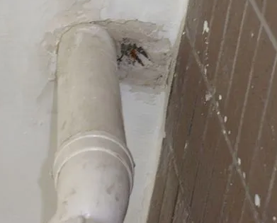 东源漏水检测哪家好